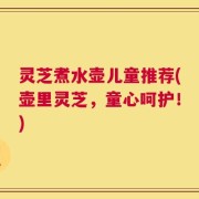 灵芝煮水壶儿童推荐(壶里灵芝，童心呵护！)