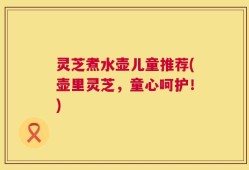 灵芝煮水壶儿童推荐(壶里灵芝，童心呵护！)