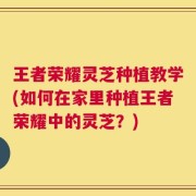 王者荣耀灵芝种植教学(如何在家里种植王者荣耀中的灵芝？)