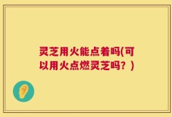 灵芝用火能点着吗(可以用火点燃灵芝吗？)