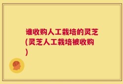谁收购人工栽培的灵芝(灵芝人工栽培被收购)