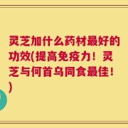 灵芝加什么药材最好的功效(提高免疫力！灵芝与何首乌同食最佳！)