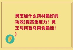 灵芝加什么药材最好的功效(提高免疫力！灵芝与何首乌同食最佳！)