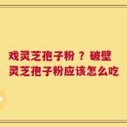 戏灵芝孢子粉 ？破壁灵芝孢子粉应该怎么吃
