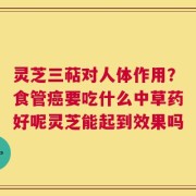灵芝三萜对人体作用？食管癌要吃什么中草药好呢灵芝能起到效果吗