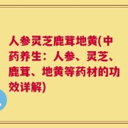 人参灵芝鹿茸地黄(中药养生：人参、灵芝、鹿茸、地黄等药材的功效详解)