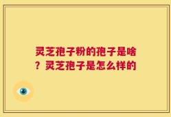 灵芝孢子粉的孢子是啥？灵芝孢子是怎么样的