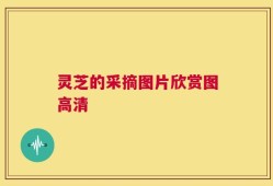 灵芝的采摘图片欣赏图高清