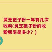 灵芝孢子粉一年有几次收粉(灵芝孢子粉的收粉频率是多少？)