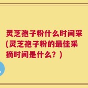 灵芝孢子粉什么时间采(灵芝孢子粉的最佳采摘时间是什么？)