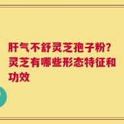 肝气不舒灵芝孢子粉？灵芝有哪些形态特征和功效
