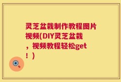 灵芝盆栽制作教程图片视频(DIY灵芝盆栽，视频教程轻松get！)