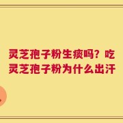 灵芝孢子粉生痰吗？吃灵芝孢子粉为什么出汗