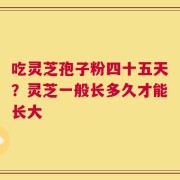 吃灵芝孢子粉四十五天？灵芝一般长多久才能长大