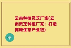 云南种植灵芝厂家(云南灵芝种植厂家：打造健康生态产业链)