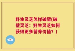 野生灵芝怎样破壁(破壁灵芝：野生灵芝如何获得更多营养价值？)