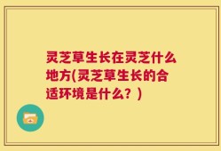 灵芝草生长在灵芝什么地方(灵芝草生长的合适环境是什么？)