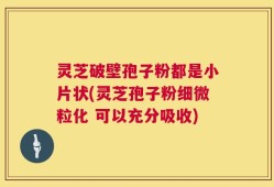 灵芝破壁孢子粉都是小片状(灵芝孢子粉细微粒化 可以充分吸收)