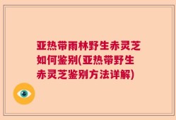 亚热带雨林野生赤灵芝如何鉴别(亚热带野生赤灵芝鉴别方法详解)
