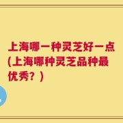 上海哪一种灵芝好一点(上海哪种灵芝品种最优秀？)