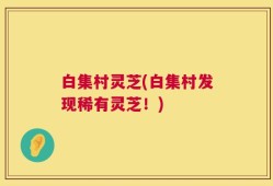 白集村灵芝(白集村发现稀有灵芝！)