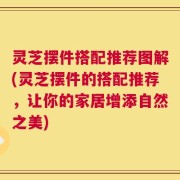 灵芝摆件搭配推荐图解(灵芝摆件的搭配推荐，让你的家居增添自然之美)