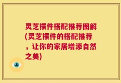灵芝摆件搭配推荐图解(灵芝摆件的搭配推荐，让你的家居增添自然之美)