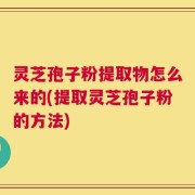 灵芝孢子粉提取物怎么来的(提取灵芝孢子粉的方法)