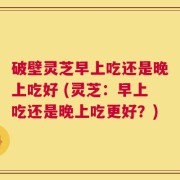破壁灵芝早上吃还是晚上吃好 (灵芝：早上吃还是晚上吃更好？)