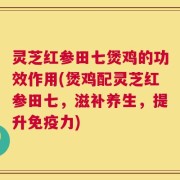 灵芝红参田七煲鸡的功效作用(煲鸡配灵芝红参田七，滋补养生，提升免疫力)