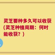 灵芝要种多久可以收获(灵芝种植周期：何时能收获？)