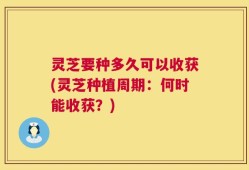 灵芝要种多久可以收获(灵芝种植周期：何时能收获？)