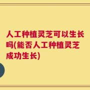 人工种植灵芝可以生长吗(能否人工种植灵芝成功生长)
