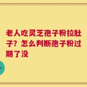老人吃灵芝孢子粉拉肚子？怎么判断孢子粉过期了没