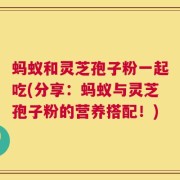 蚂蚁和灵芝孢子粉一起吃(分享：蚂蚁与灵芝孢子粉的营养搭配！)