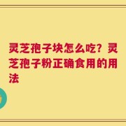 灵芝孢子块怎么吃？灵芝孢子粉正确食用的用法