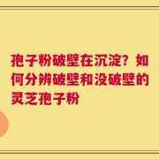 孢子粉破壁在沉淀？如何分辨破壁和没破壁的灵芝孢子粉