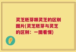 灵芝胚芽跟灵芝的区别图片(灵芝胚芽与灵芝的区别：一图看懂)