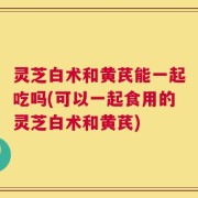 灵芝白术和黄芪能一起吃吗(可以一起食用的灵芝白术和黄芪)