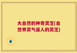 大自然的神奇灵芝(自然界灵气逼人的灵芝)