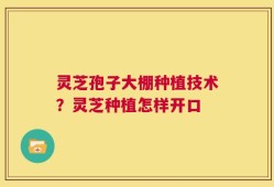 灵芝孢子大棚种植技术？灵芝种植怎样开口