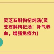 灵芝石斛枸杞炖汤(灵芝石斛枸杞汤：补气养血，增强免疫力)