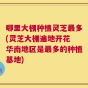 哪里大棚种植灵芝最多(灵芝大棚遍地开花 华南地区是最多的种植基地)