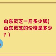 山东灵芝一斤多少钱(山东灵芝的价格是多少？)