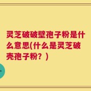 灵芝破破壁孢子粉是什么意思(什么是灵芝破壳孢子粉？)