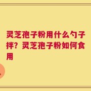 灵芝孢子粉用什么勺子拌？灵芝孢子粉如何食用