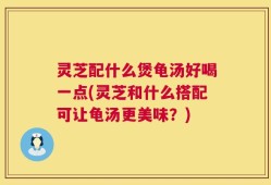 灵芝配什么煲龟汤好喝一点(灵芝和什么搭配可让龟汤更美味？)