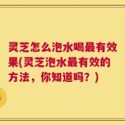 灵芝怎么泡水喝最有效果(灵芝泡水最有效的方法，你知道吗？)