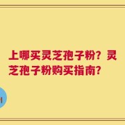 上哪买灵芝孢子粉？灵芝孢子粉购买指南？
