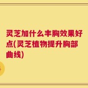 灵芝加什么丰胸效果好点(灵芝植物提升胸部曲线)